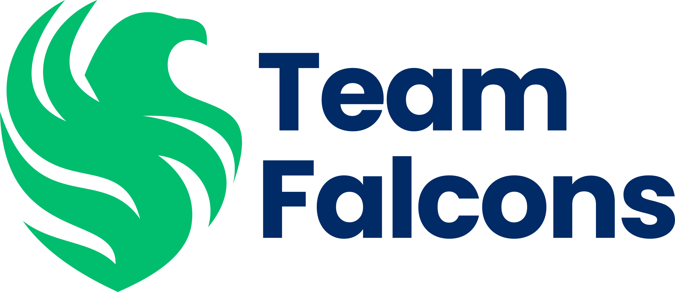 Falcons Force