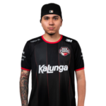 HEN1
