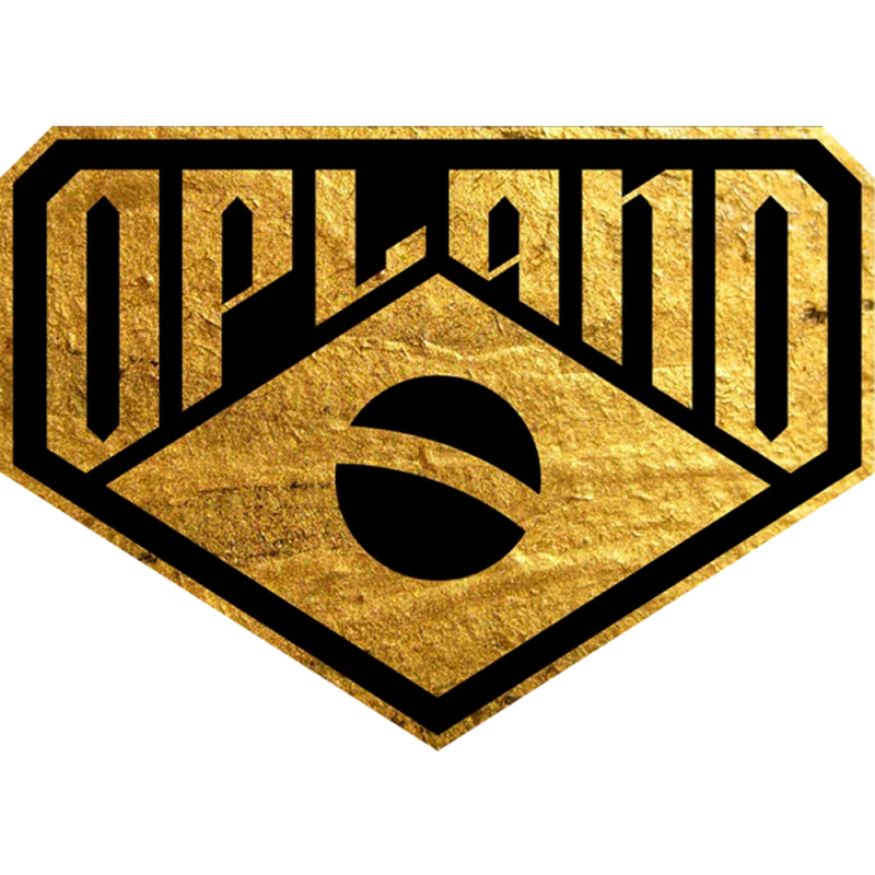 O PLANO