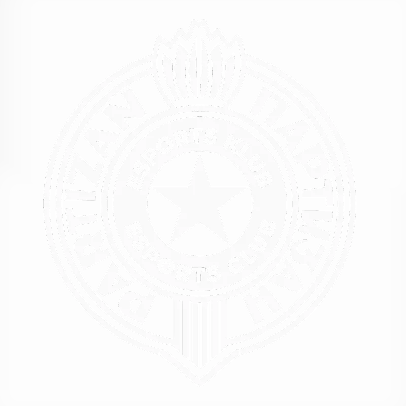 PARTIZAN