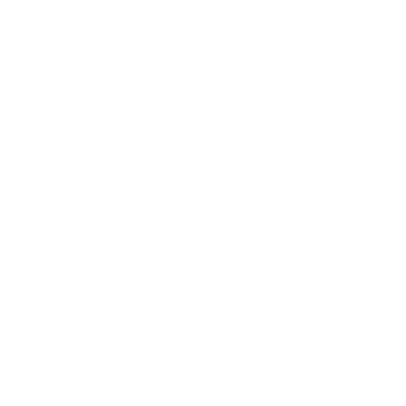 SKYFURY