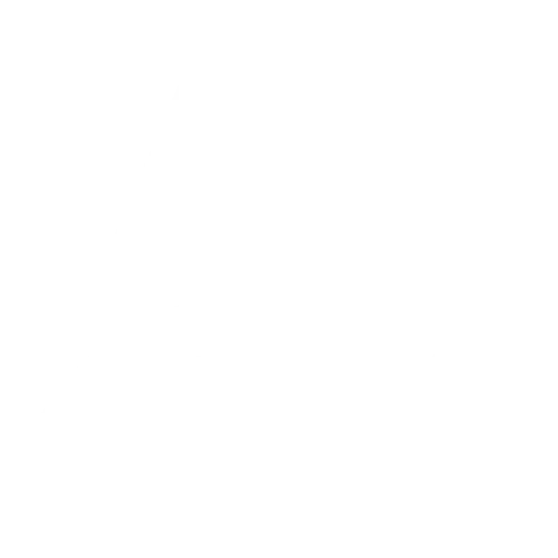 Spirit Academy