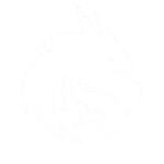 Spirit