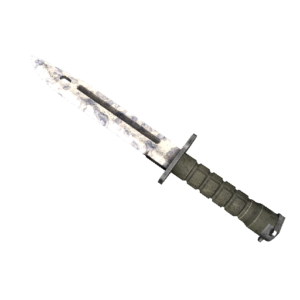 ★ Bayonet | Stained (Well-Worn)