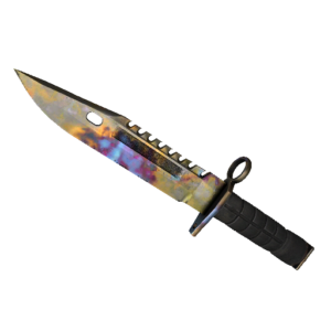 ★ M9 Bayonet | Case Hardened (Well-Worn)
