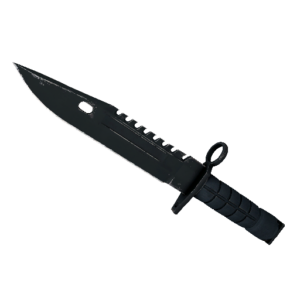 ★ M9 Bayonet | Night (Well-Worn)