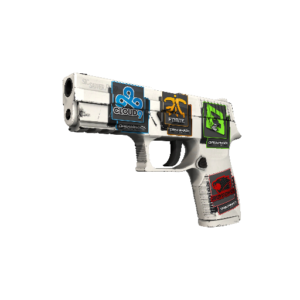 P250 | Whiteout (Minimal Wear)