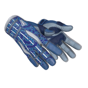★ Sport Gloves | Amphibious (Field-Tested)