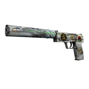 Souvenir USP-S | Road Rash (Field-Tested)